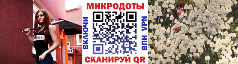 наркота  Лангепас  Галлюциногенные грибы прущие грибы 