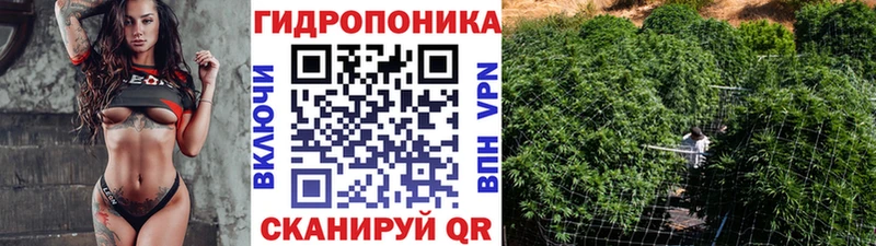 как найти закладки  hydra   Канабис планчик  Лангепас 